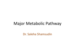 Major Metabolic Pathway