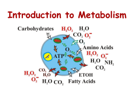 Metabolism PPT - Biology Junction