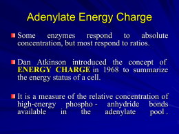Adenylate Energy Charge