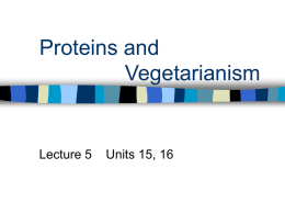 Lecture 04 Proteins