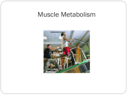 Muscle Metabolism - White Plains Public Schools