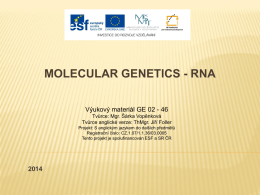 RNA - GVI.cz