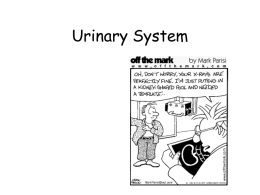 Urinary System - Malcolm Stilson Archives and Special Collections