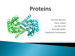 Proteins - Humble ISD