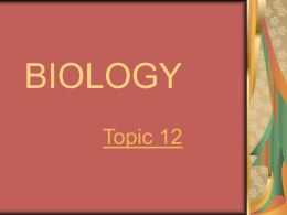 Biology Topic 12