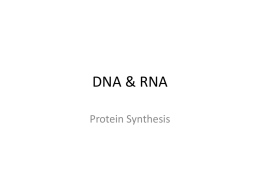 DNA & RNA - abdelbio