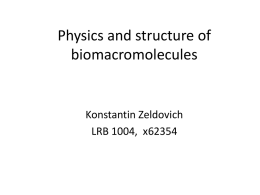 Physics and structure of biomacromolecules