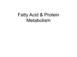 Fatty Acid & Protein Metabolism