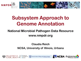 Subsystem Approach to Genome Annotation
