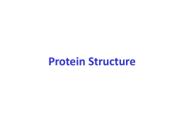 Fundamentals of protein structure