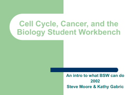 Cell Cycle, Cancer, and the Biology Student Workbench