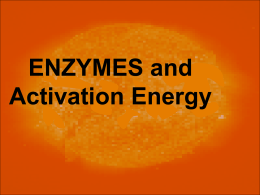 Enzyme Notes Activation Energy