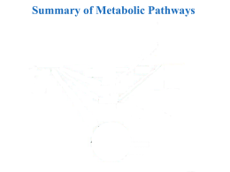 Integration of Metabolism: Power Point presentation