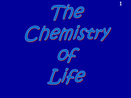 Chemistry of Life_HH