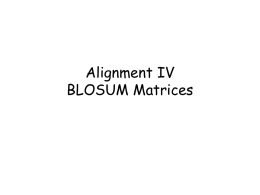 BLOSUM Matrices