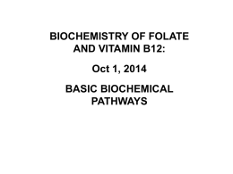 LECTURE NOTES: Folate and B12, Part 1