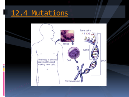 12.4 Mutations ppt