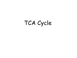 TCA Cycle