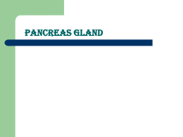 Pancreas gland