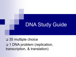 DNA Study Guide