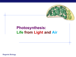 photosynthesis - Northwest ISD Moodle