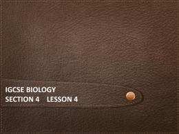 iGCSE Biology Section 4 lesson 4