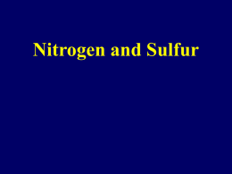 Nitrogen and Sulfur