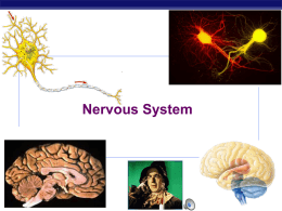 Nervous System - RMC Science Home