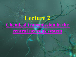CHEMICAL SIGNALLING IN THE NERVOUS SYSTEM