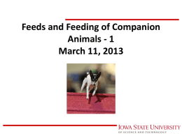 17.dogs.cats.1 - Iowa State University: Animal Science Computer