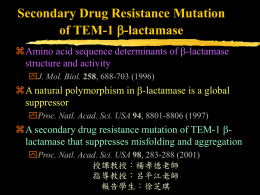 Secondary Drug Resistance Mutation of TEM-1