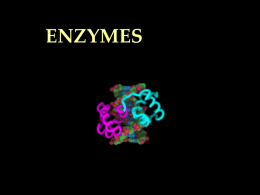 enzymes - Issaquah Connect