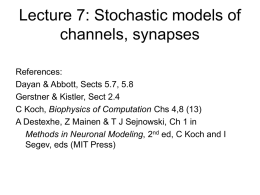 Lecture 6: Stochastic models of channels, synapses