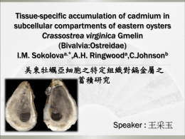 Tissue-specific accumulation of eastern oysters Crassostrea virginica