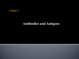 Recognition of Antigens