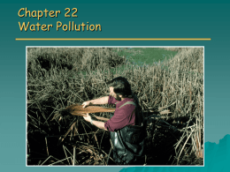 Chapter 22: Water & Soil Pollution