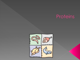 Protein Notes