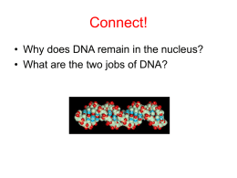 Putting it Together: DNA Functions