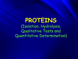 Types of Protein Hydrolysis