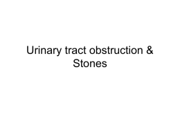 Urinary tract obstruction & Stones