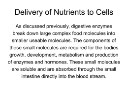 Delivery of Nutrients to Cells