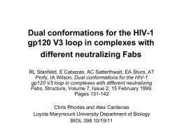 Dual conformations for the HIV-1 gp120 V3 loop in