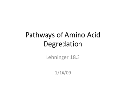 Pathways of Amino Acid Degredation