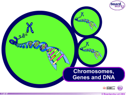 KS4 Chromosomes, Genes and DNA