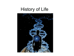 origin of life
