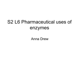 S2 L6 Enzymes