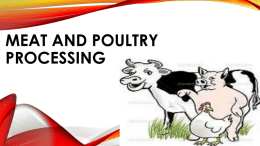 Meat and Poultry Processing
