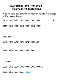 Prof. Kamakaka`s Lecture 12 Notes