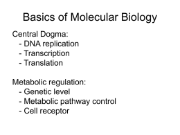 lecture notes-molecular biology-web