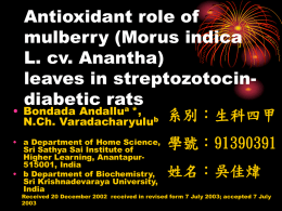 (Morus indica L. cv. Anantha) leaves in streptozotocin